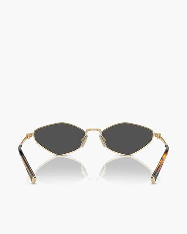 Women's Classic Frame Sunglasses