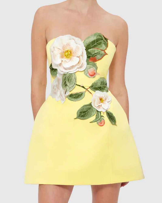 Garden-Party-Floral-Applique-Bustier-Mini-Dress-2