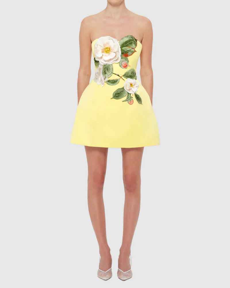 Garden-Party-Floral-Applique-Bustier-Mini-Dress-1
