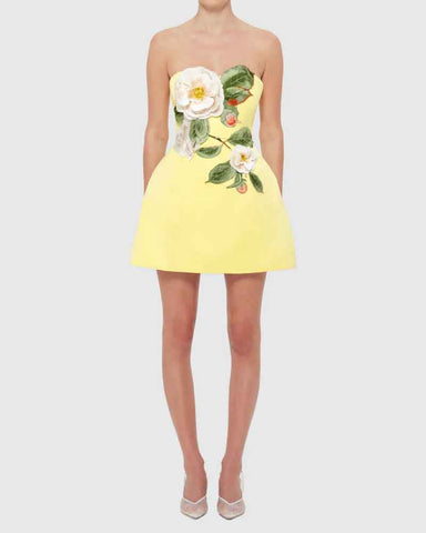 Garden-Party-Floral-Applique-Bustier-Mini-Dress-1