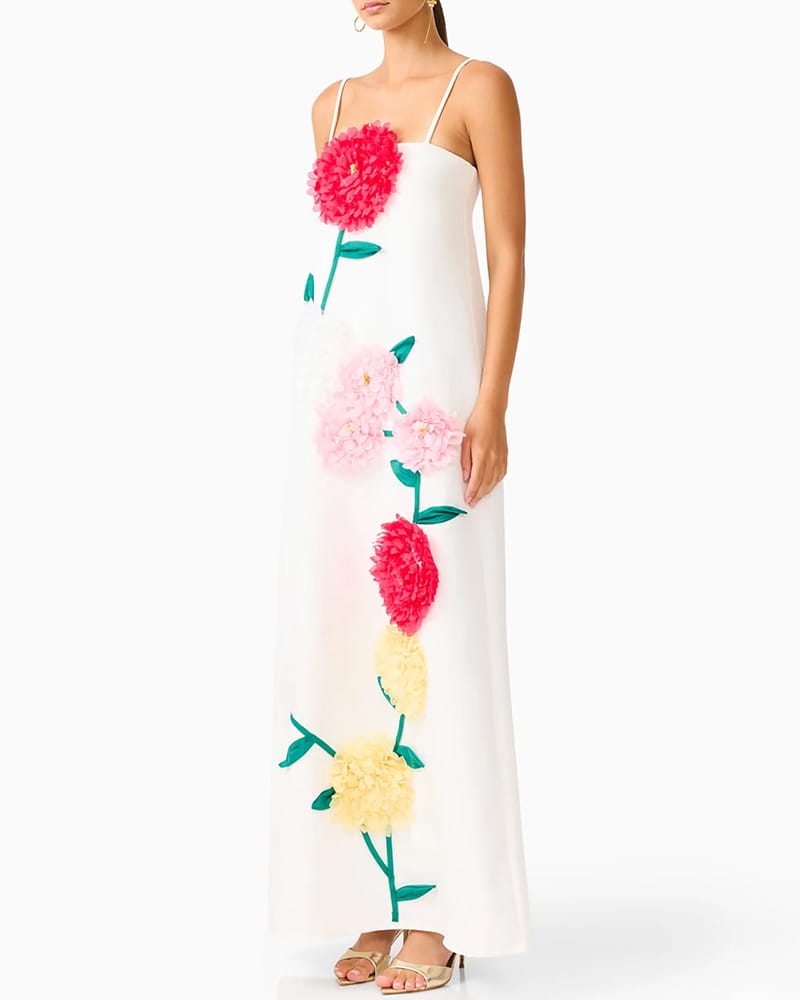 Garden-Party-Floral-Appliqué-Maxi-Dress-5