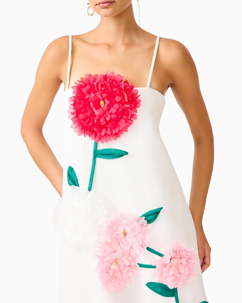 Garden-Party-Floral-Appliqué-Maxi-Dress-3
