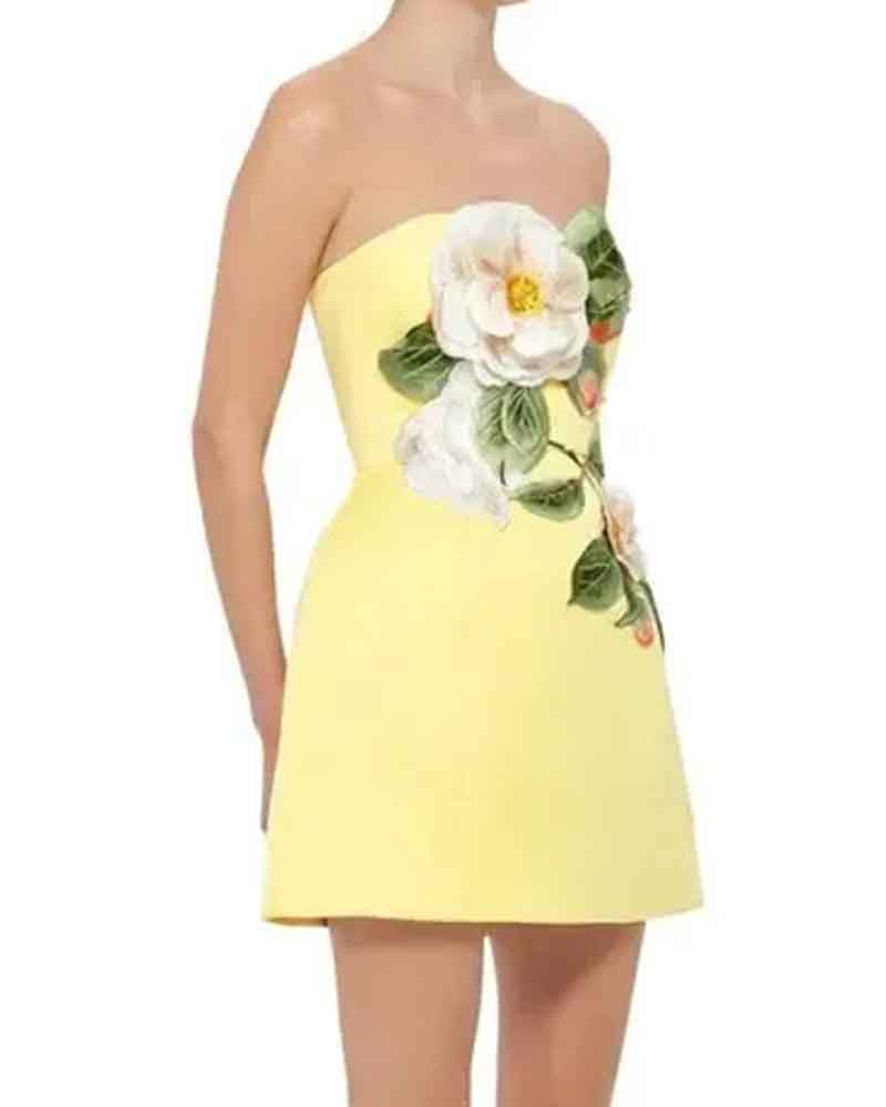 Garden-Party-Floral-Applique-Bustier-Mini-Dress-4