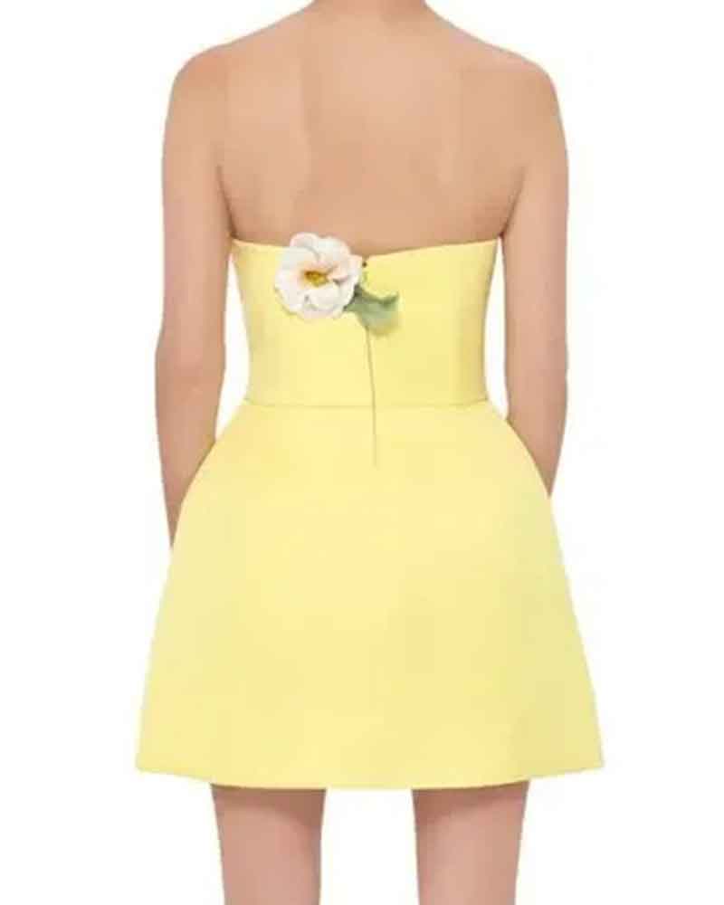 Garden-Party-Floral-Applique-Bustier-Mini-Dress-5