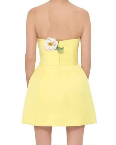 Garden-Party-Floral-Applique-Bustier-Mini-Dress-5